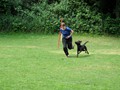 SAM_1155