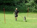 SAM_1158