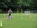 SAM_1161
