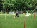 SAM_1162