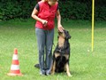 SAM_1163