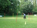 SAM_1184