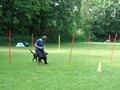 SAM_1185