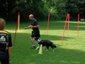 SAM_1188