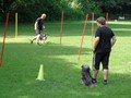 SAM_1189