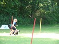 SAM_1192