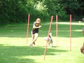SAM_1194