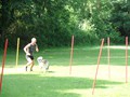 SAM_1196