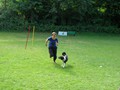 SAM_1199