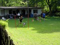 SAM_1200