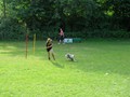 SAM_1201