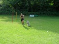 SAM_1203