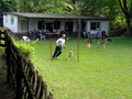 SAM_1204