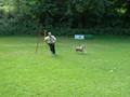 SAM_1205