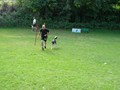 SAM_1207