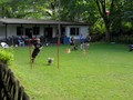 SAM_1208