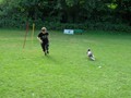 SAM_1209