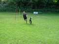 SAM_1211