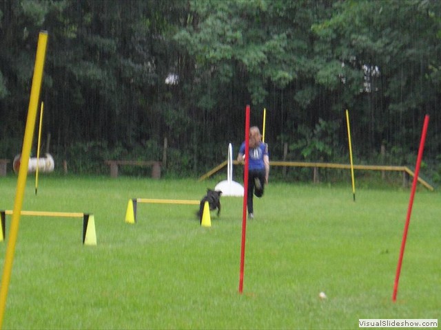 SAM_1231_1