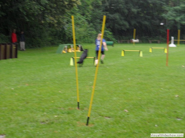 SAM_1233