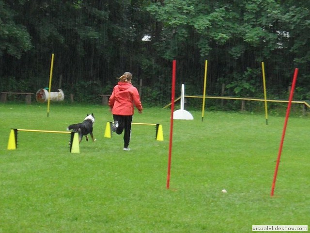 SAM_1238_1