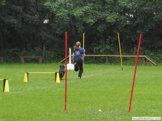 SAM_1241_1