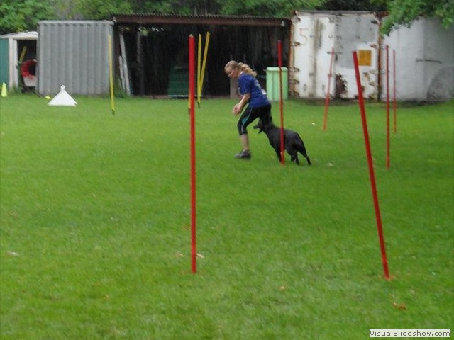 SAM_1245_1