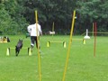 SAM_1217_1
