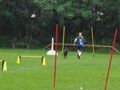 SAM_1221_1