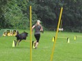 SAM_1223_1