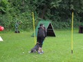 SAM_1225