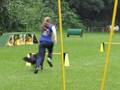 SAM_1230_1
