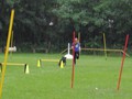 SAM_1231_1