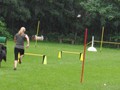 SAM_1236_1