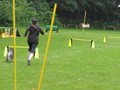 SAM_1237_1