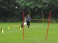 SAM_1241_1