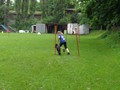 SAM_1243