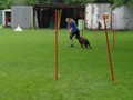 SAM_1245_1