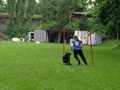 SAM_1248