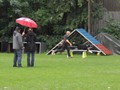 SAM_1268_1
