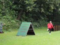 SAM_1269