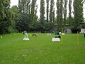 SAM_1281