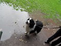 SAM_1282