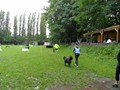 SAM_1283