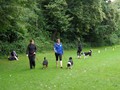 SAM_1291