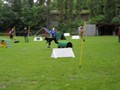 SAM_1302