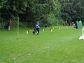 SAM_1303