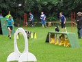 SAM_1304_1