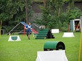 SAM_1306