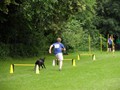 SAM_1308